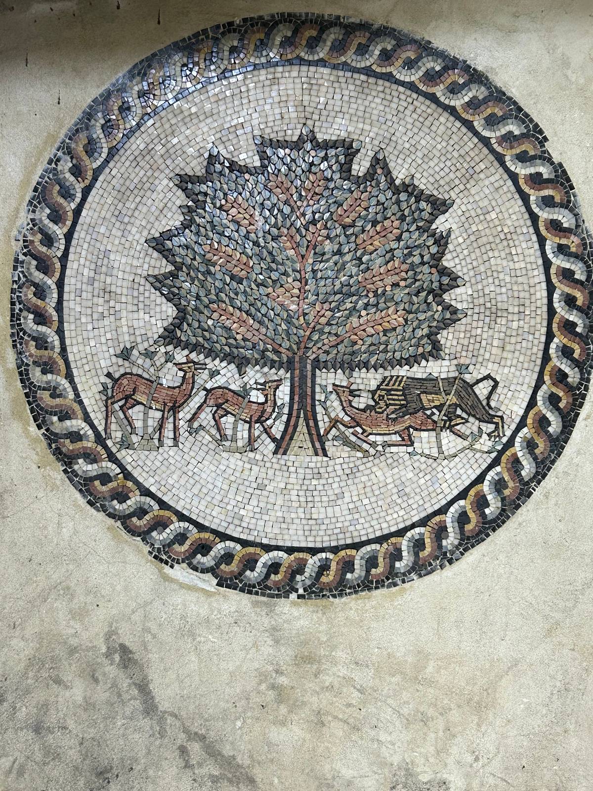 Unknown - Amman&mdash;Tree of Life