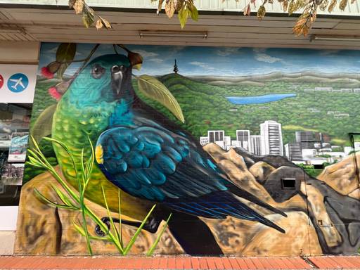 Mawson pretty birds