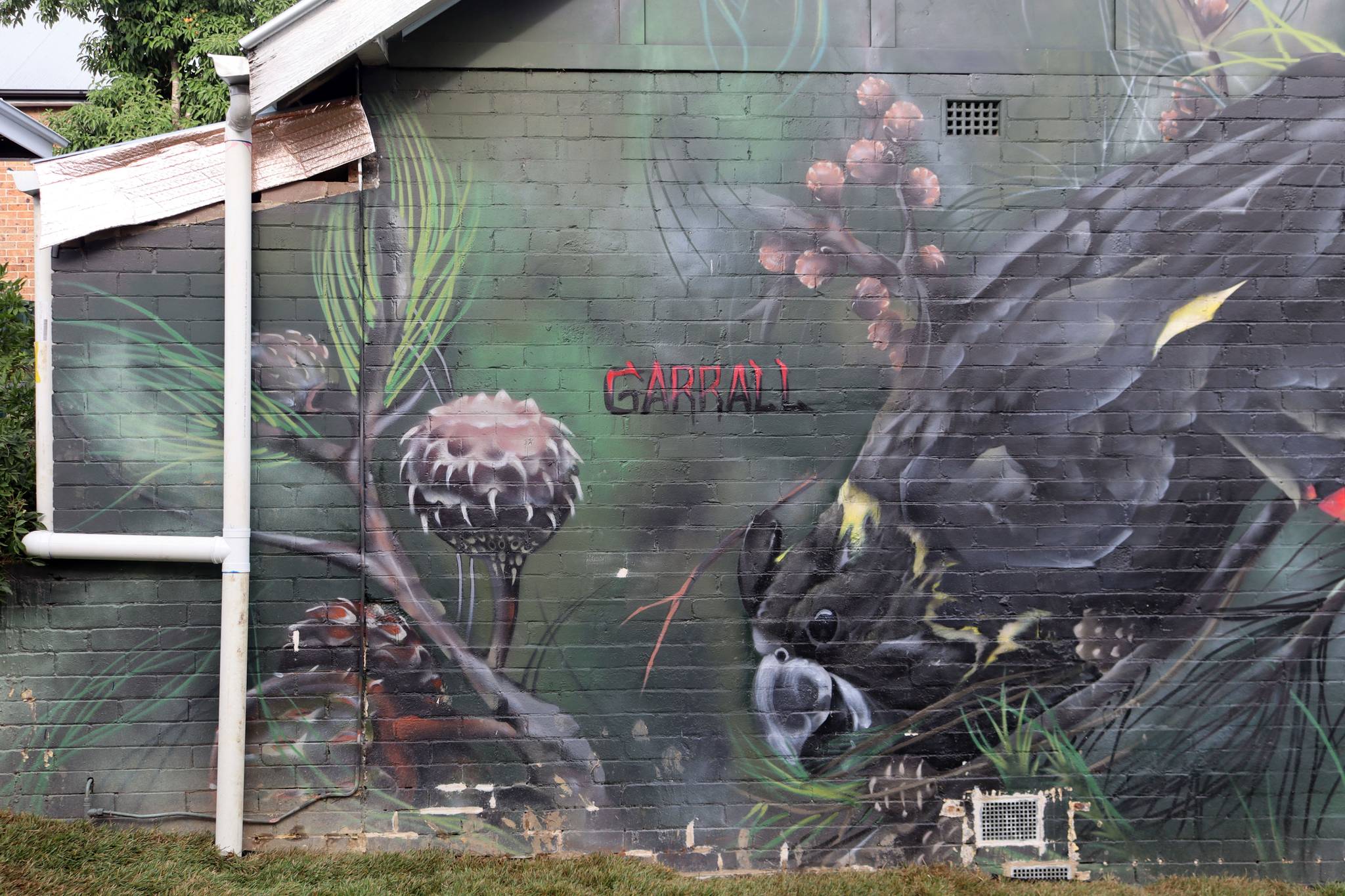 Joe Quilter&mdash;Garrall (Black Cockatoo)