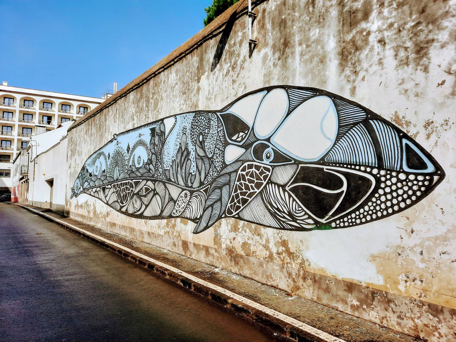 Hazul&mdash;Baleia Azul