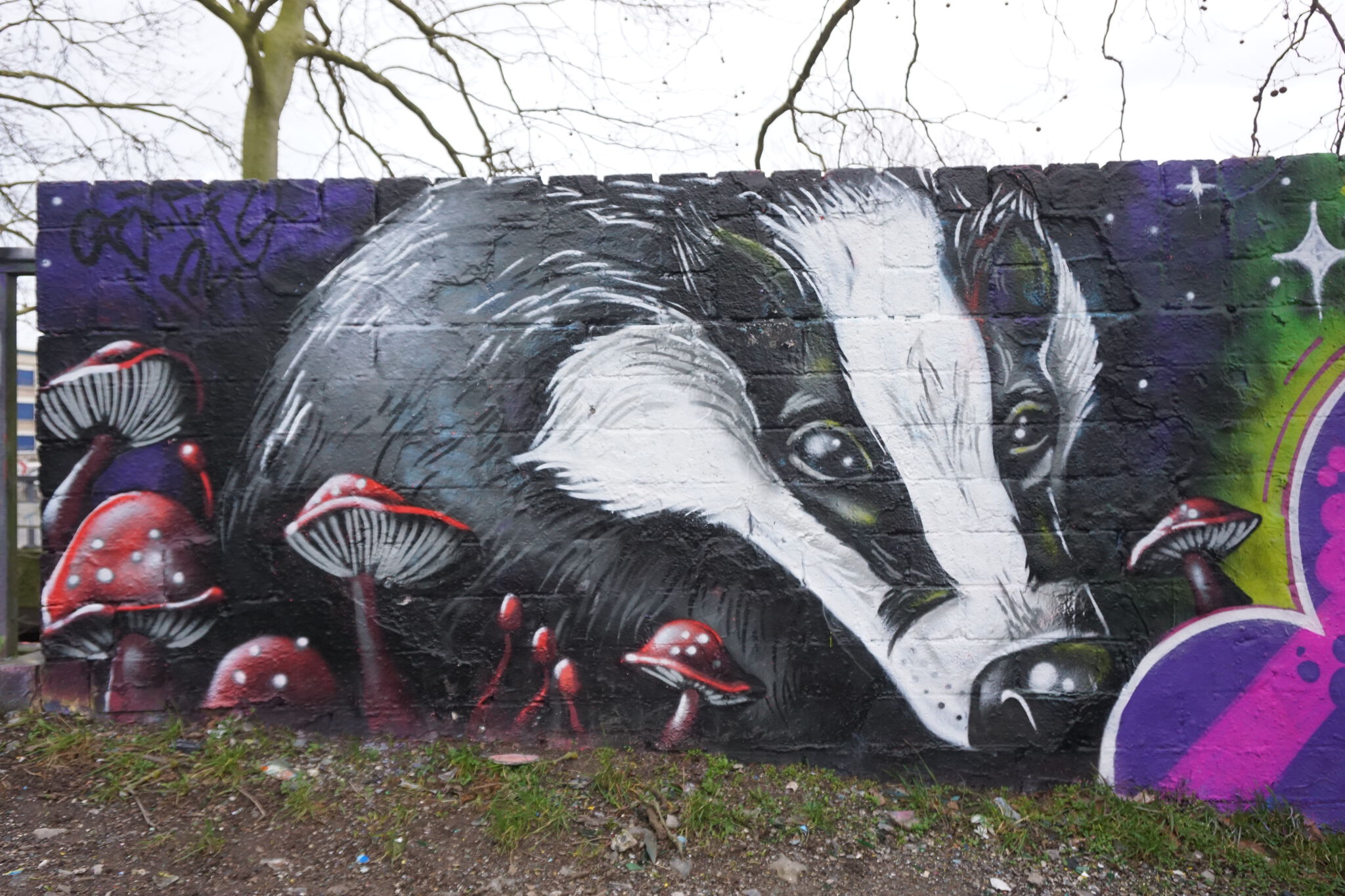 Dolman912&mdash;Badger