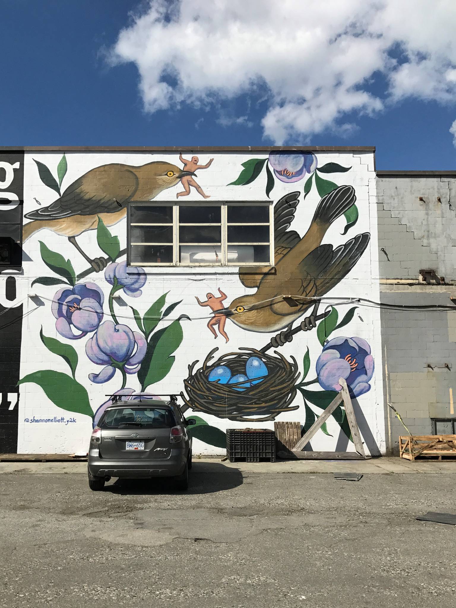 Shannon Elliott&mdash;Early Birds