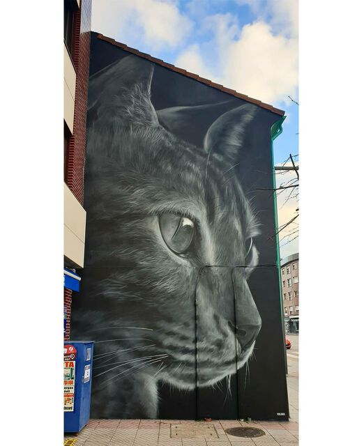 El Gato