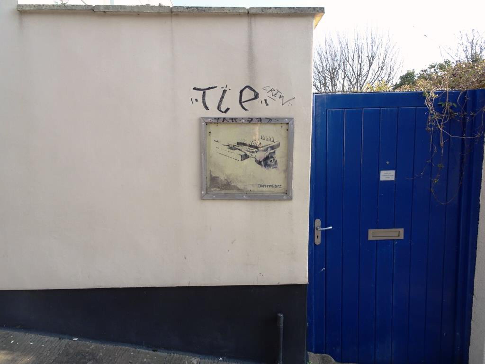 Banksy&mdash;Rose Trap