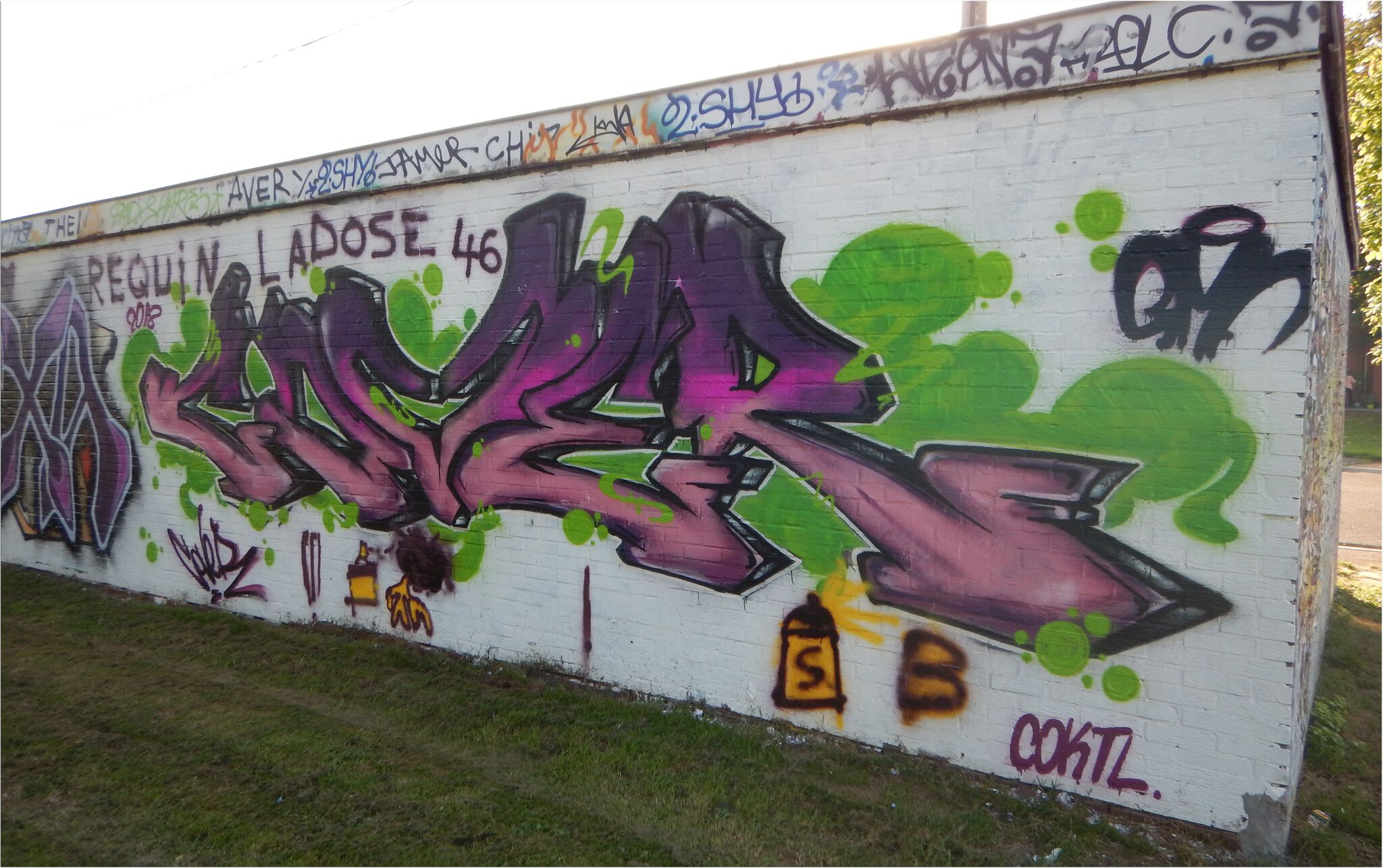 Various Artists&mdash;Wall of fame Fléron 2018