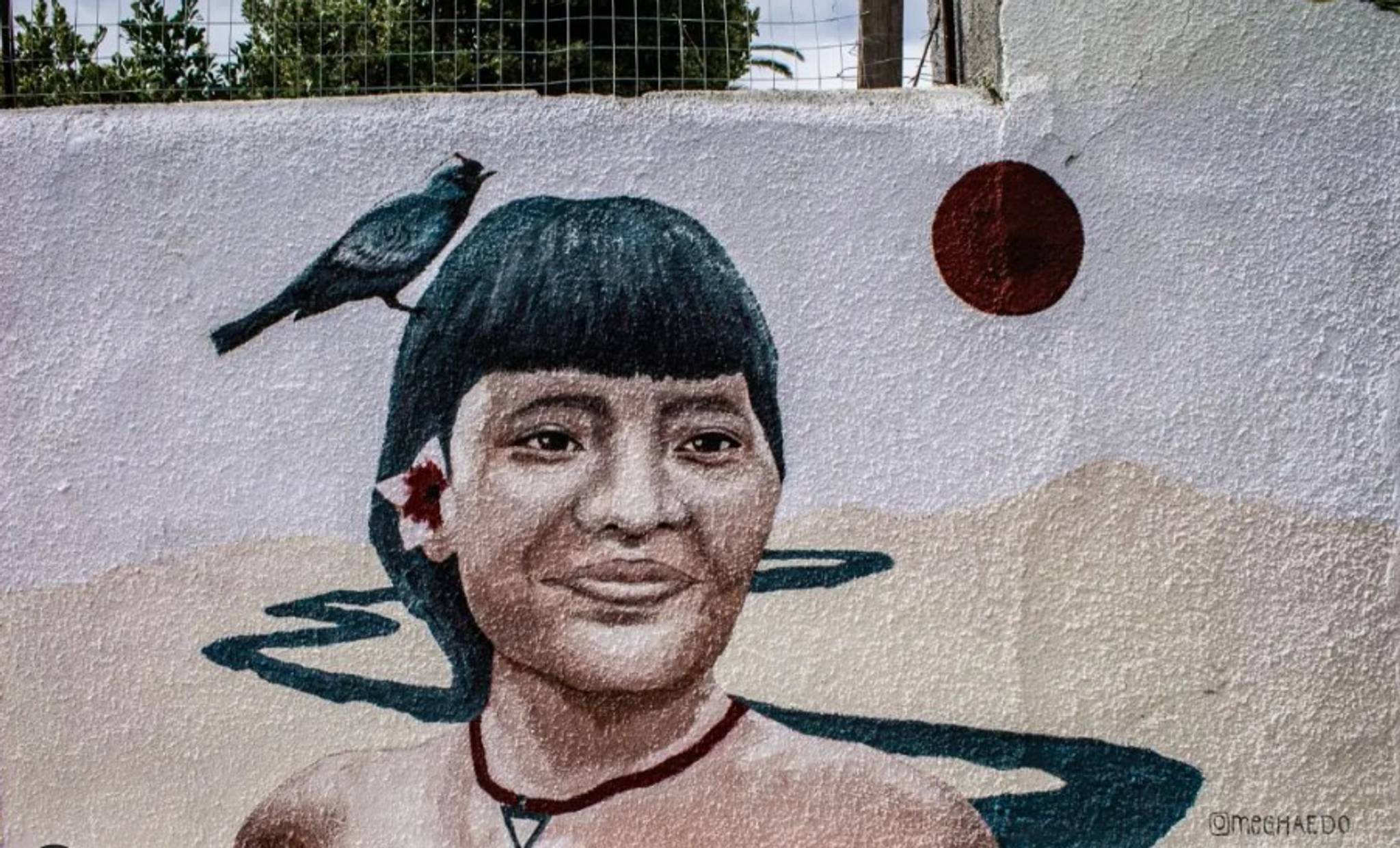 Meg Haedo&mdash;Mujer Semilla