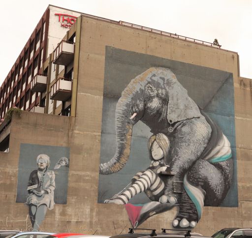 Elephant in the Room