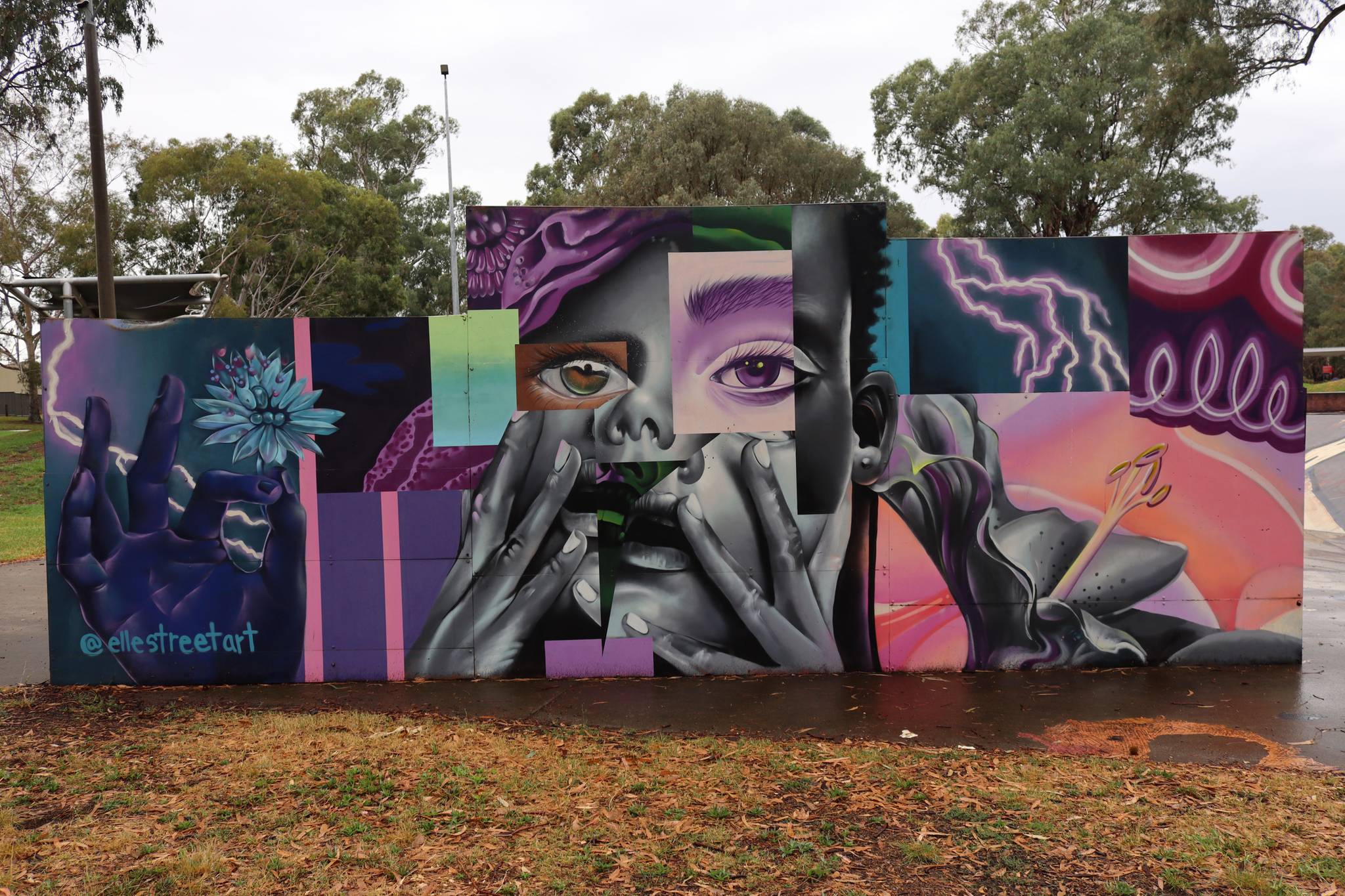 Elle Street Art&mdash;Truble