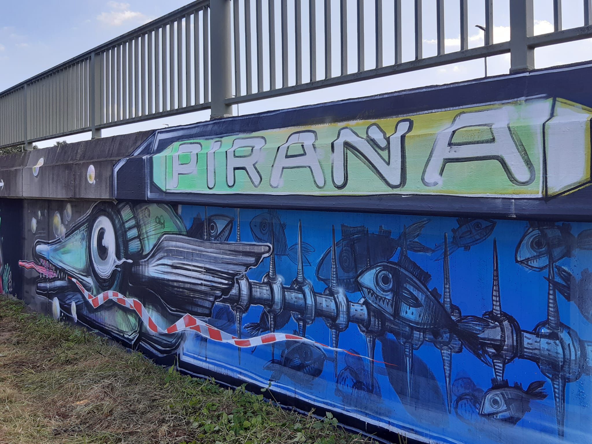 Piranha&mdash;Rocketfish