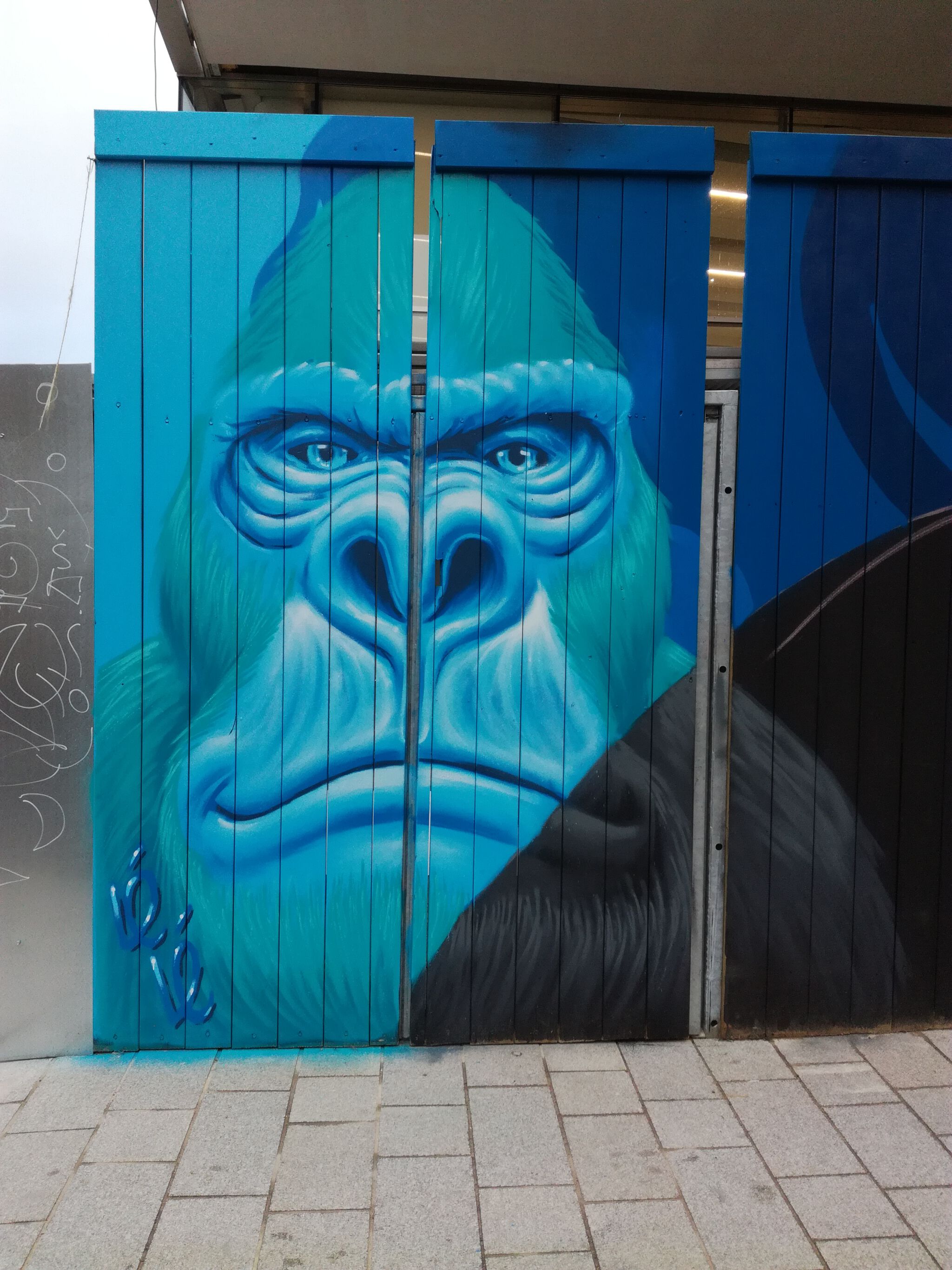 Dabanadadou&mdash;Le Singe