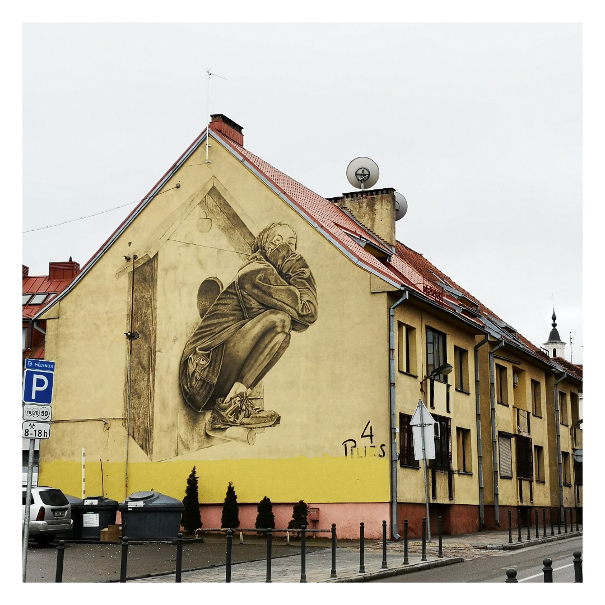 Tadas Vincaitis - Plūgas&mdash;I‘ve returned home