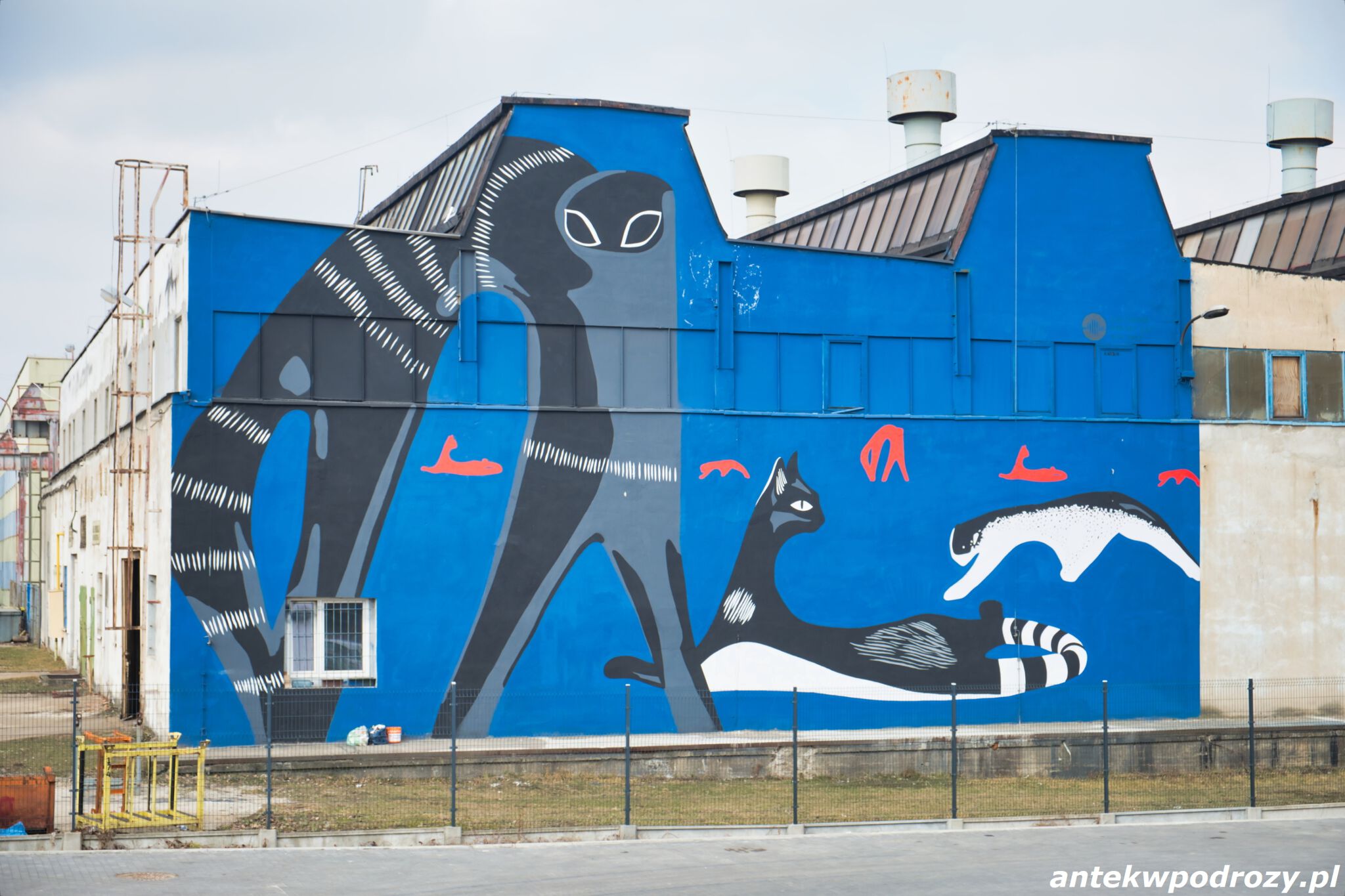 Artur Wabik&mdash;Mural z kotem