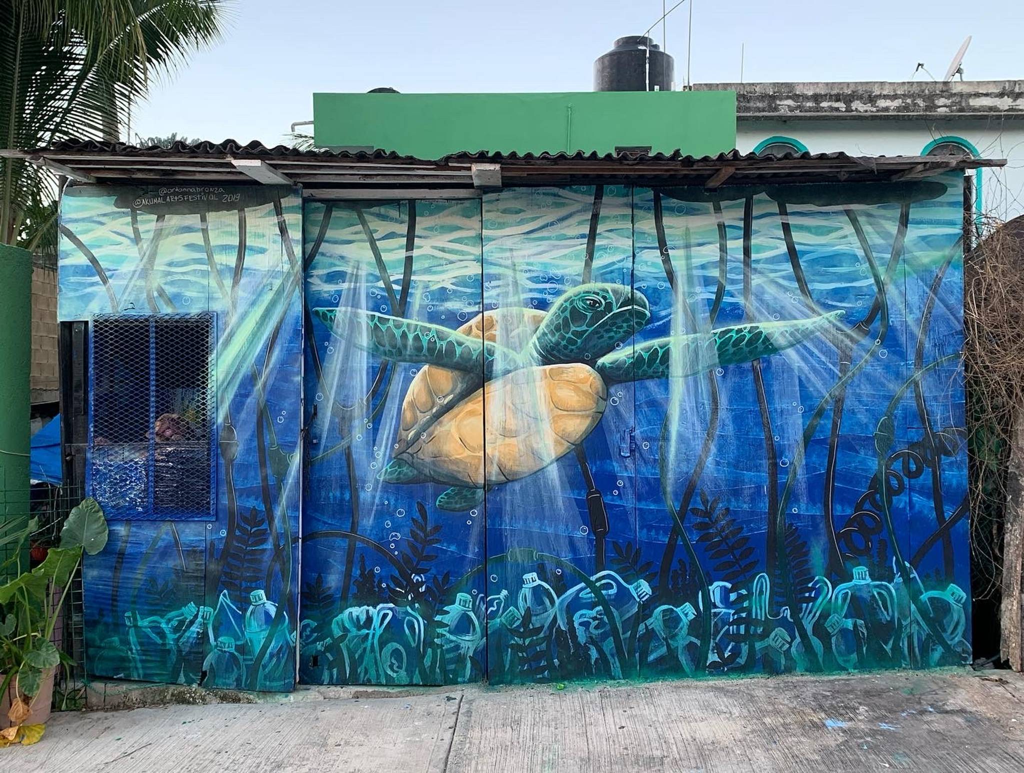 Anna Bronza&mdash;Tortuga
