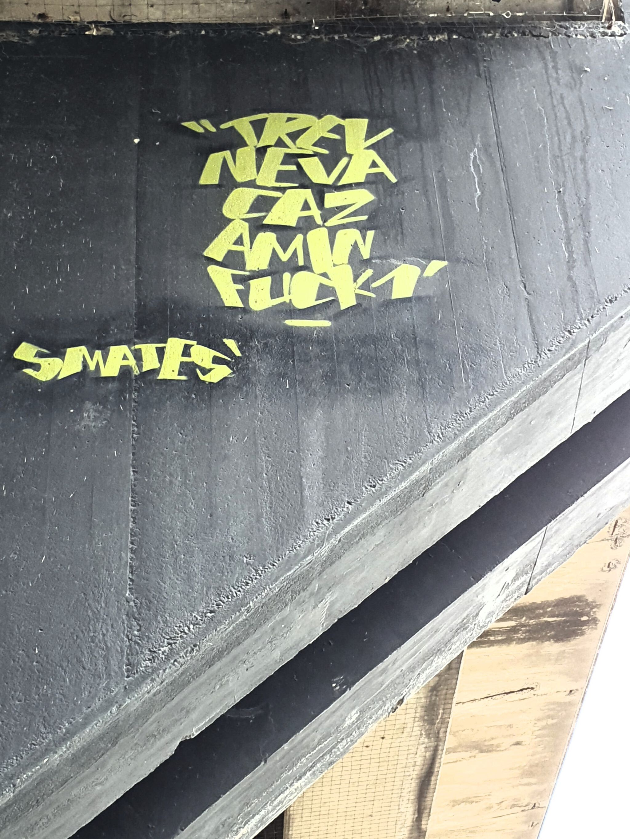 Smates, CAZN1&mdash;Untitled