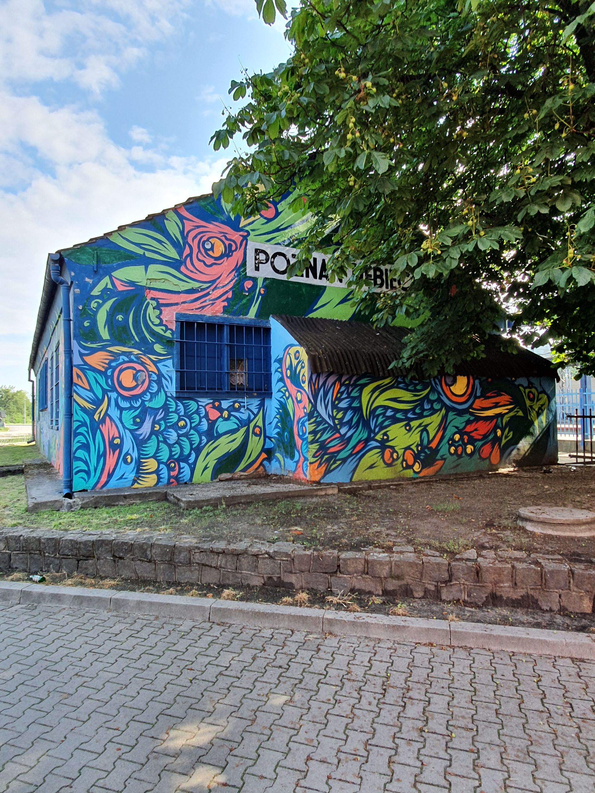 Good Looking Studio, Paweł "Swanski" Kozłowski&mdash;Untitled