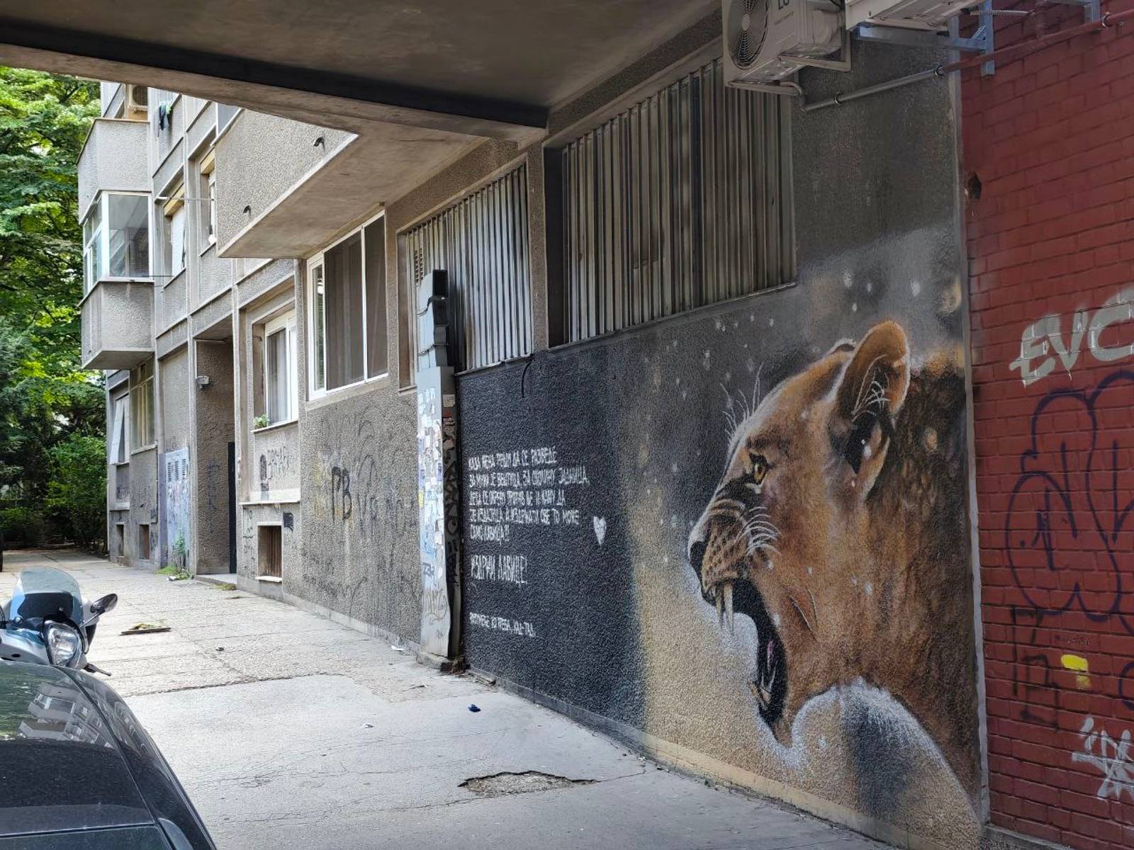 Unknown - Belgrade&mdash;Divorce farewell