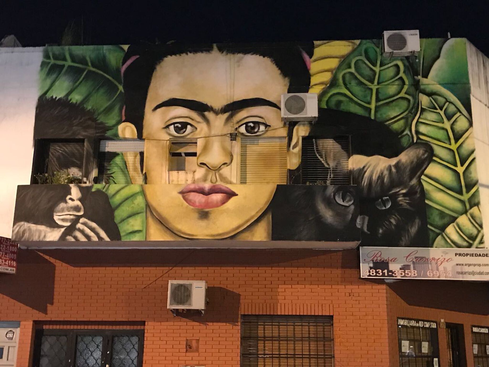 Unknown - Buenos Aires&mdash;Frida Kahlo with a monkey