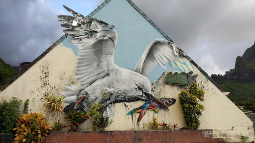 Bordalo in Moorea