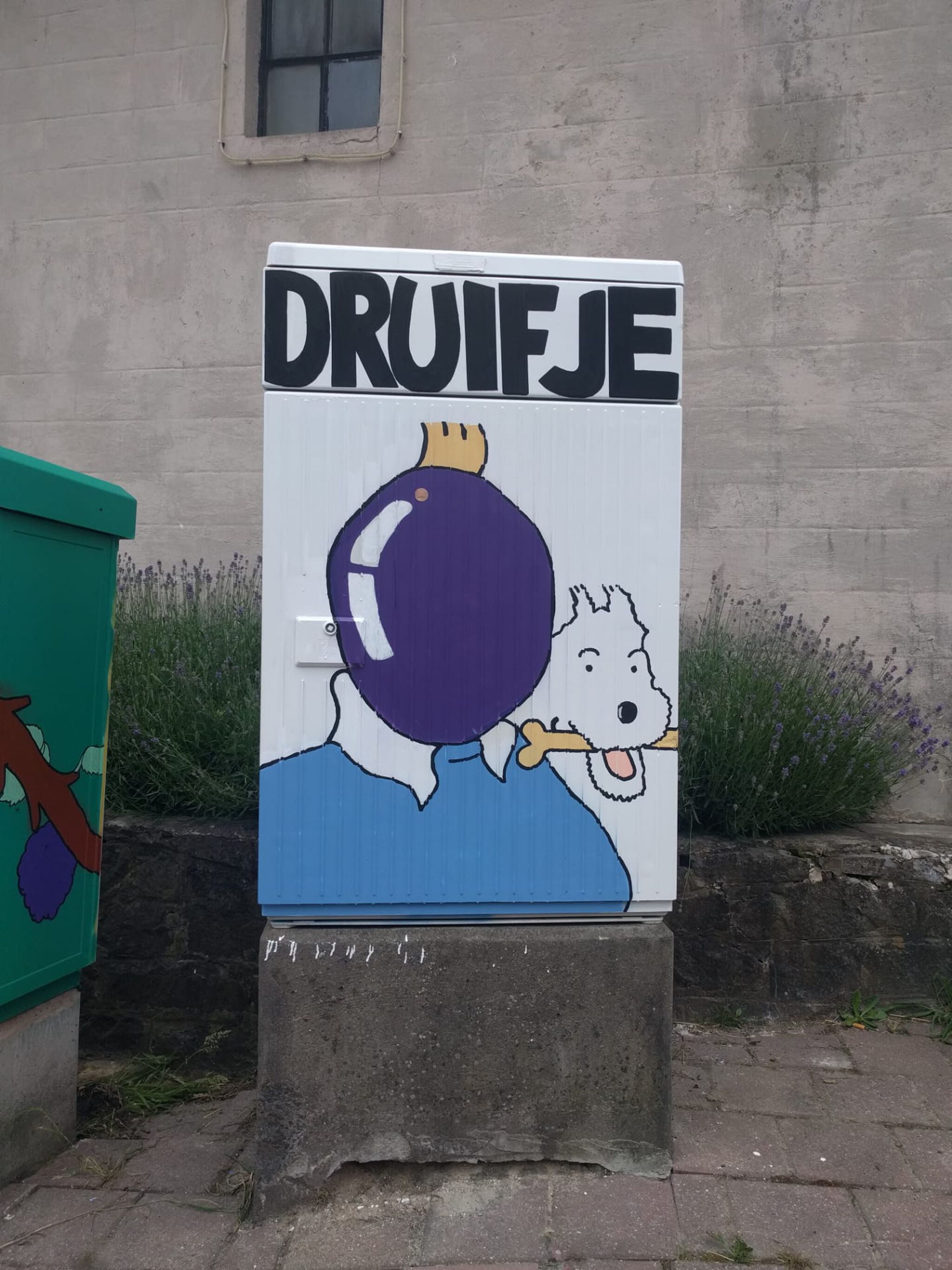 Bearhole&mdash;Tour Elentrik - Druifje