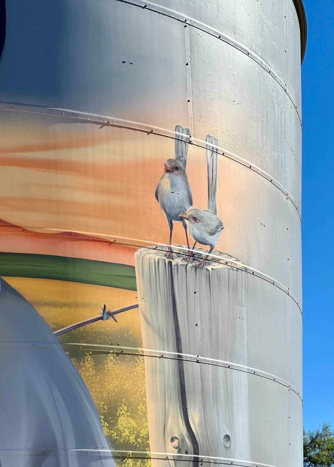 Smug&mdash;Rupanyup Silo Art