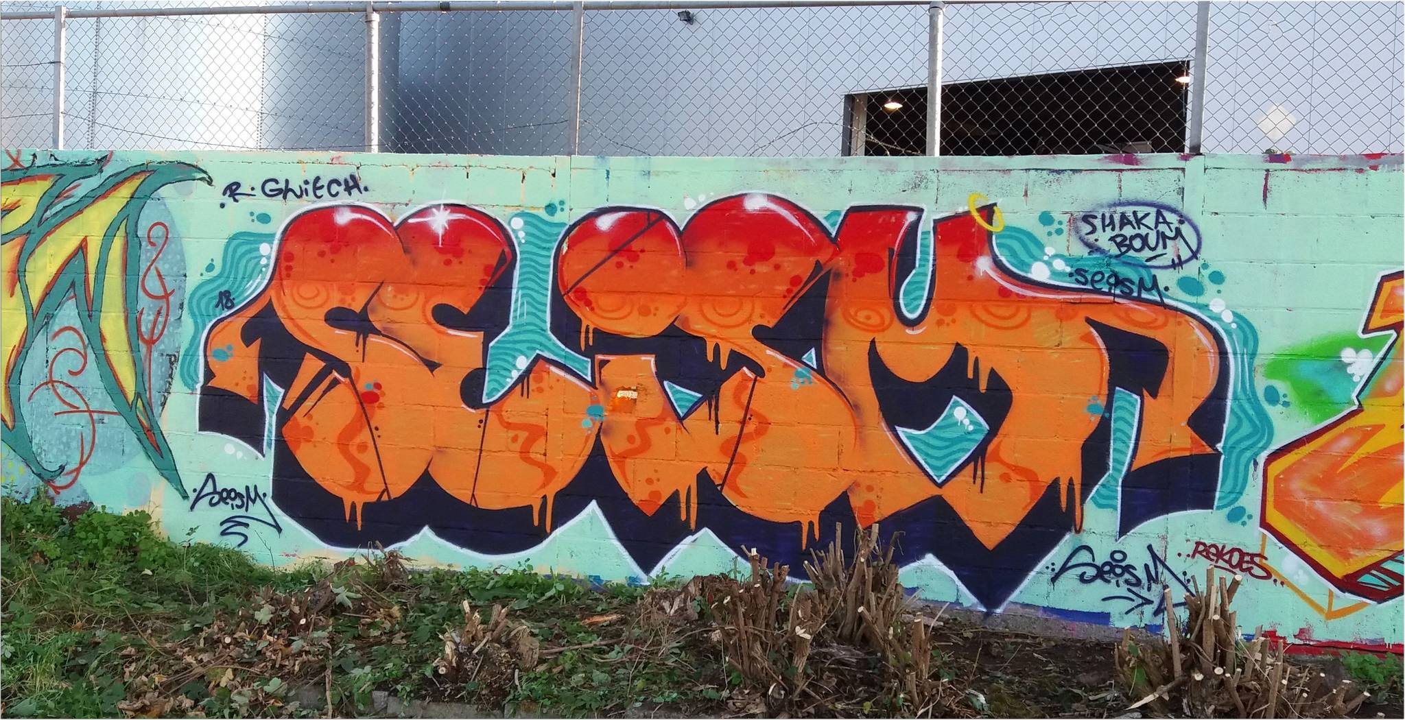 Ecto, Noname&mdash;Wall of Coronmeuse