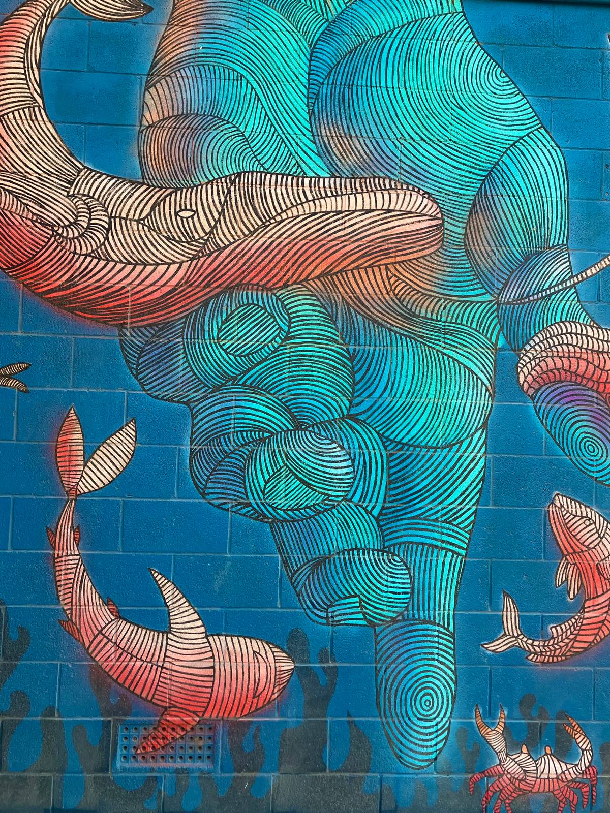 Almendra Trevino&mdash;Ocean Care