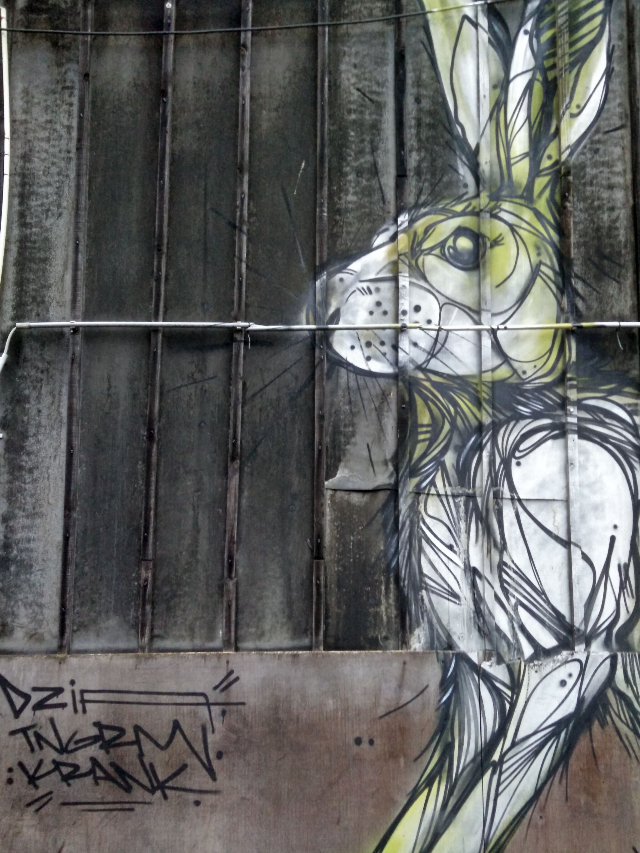 Dzia&mdash;Hare business