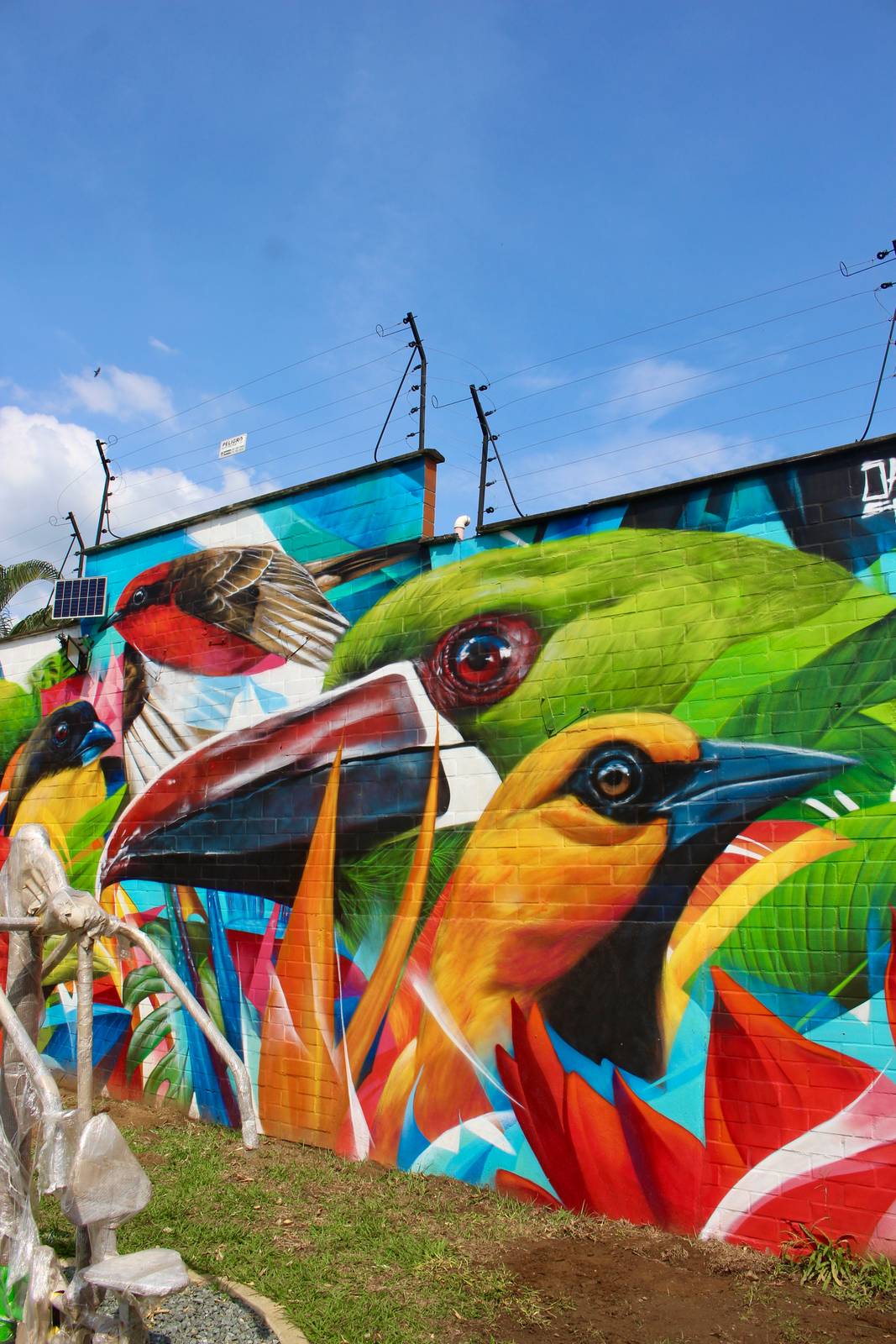 Sancho&mdash;"Aves de Cali"