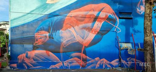 Surfeur, requin et pollution