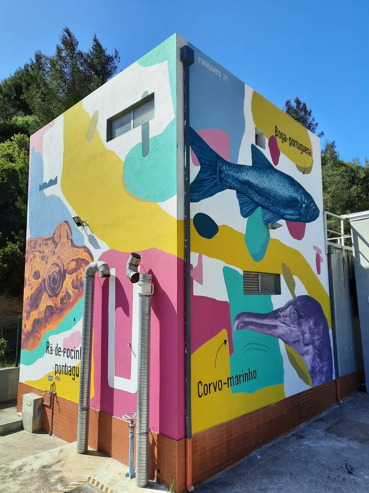 Mafalda MG&mdash;Biodiversidade local