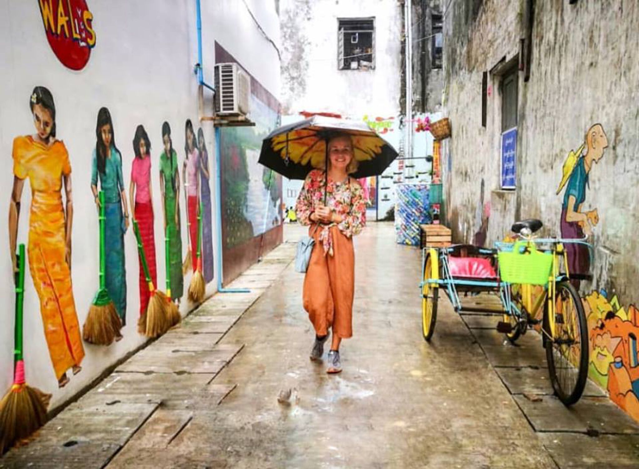 Delphine de Lorme&mdash;6 burmese with a broom