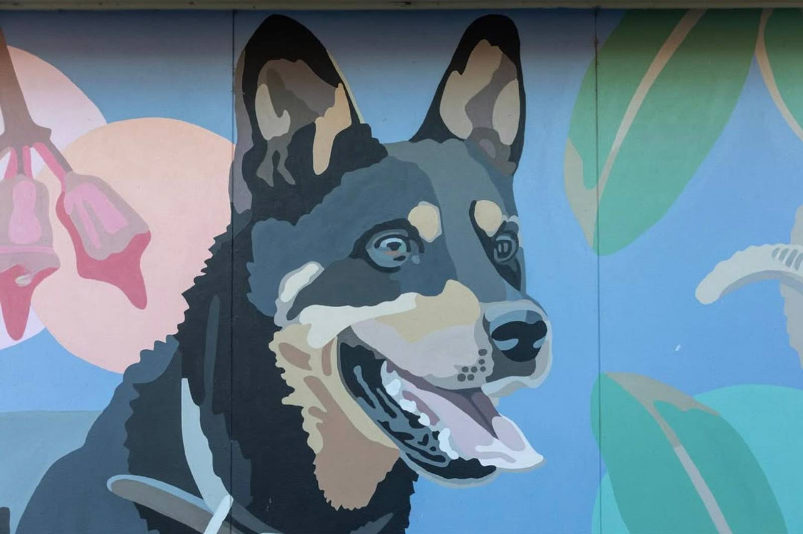 Ella Simpson&mdash;Kangaroo Island Veterinary Clinic