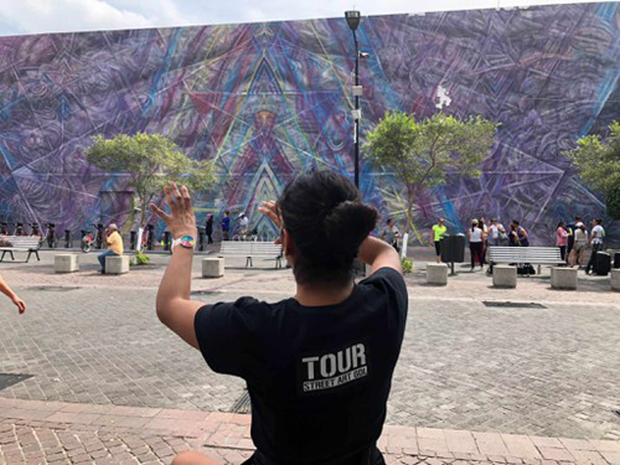 &mdash;Tour Street Art GDL
