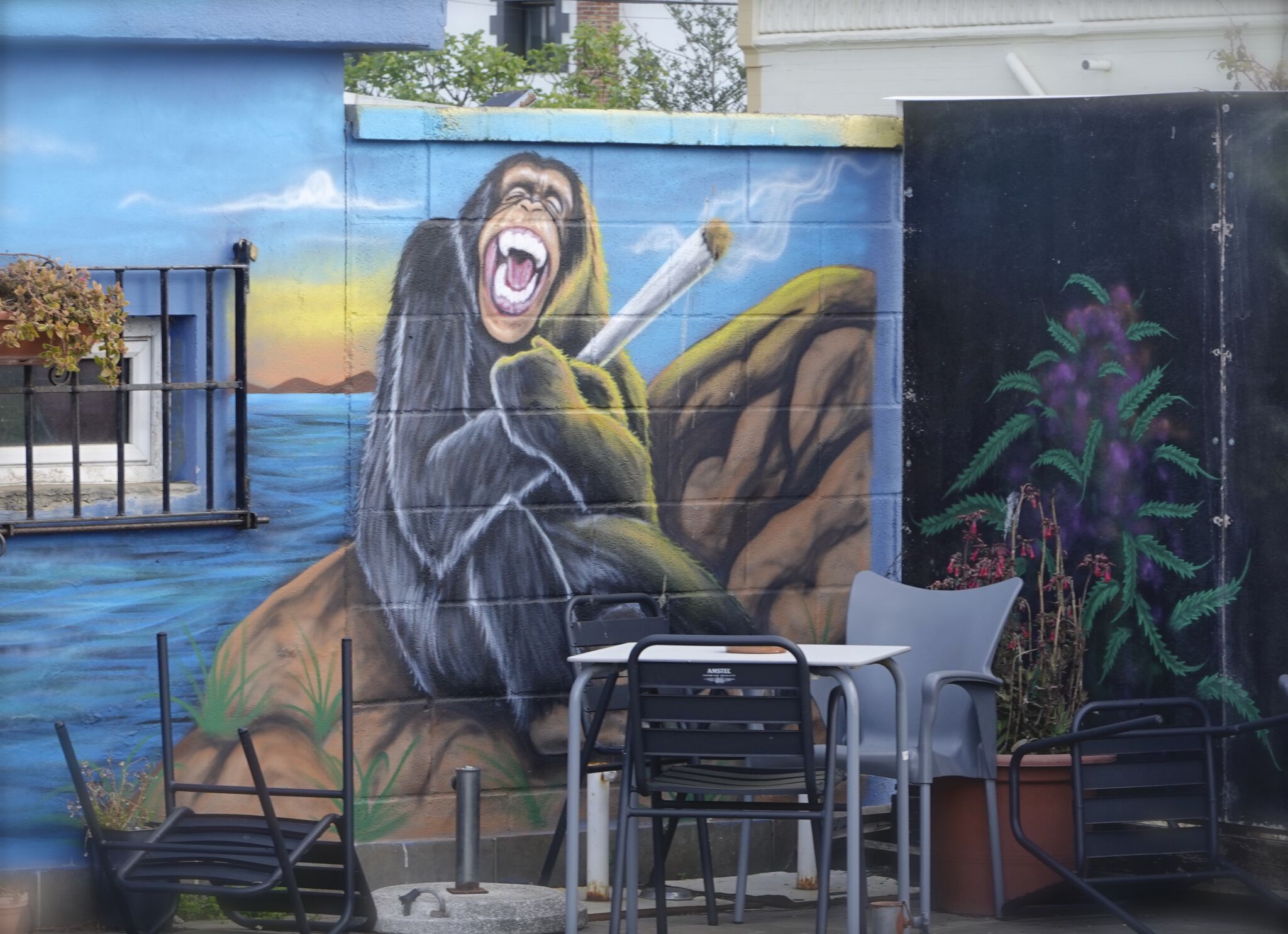 Eme Freethinker&mdash;Social Club, Cultivate your rights