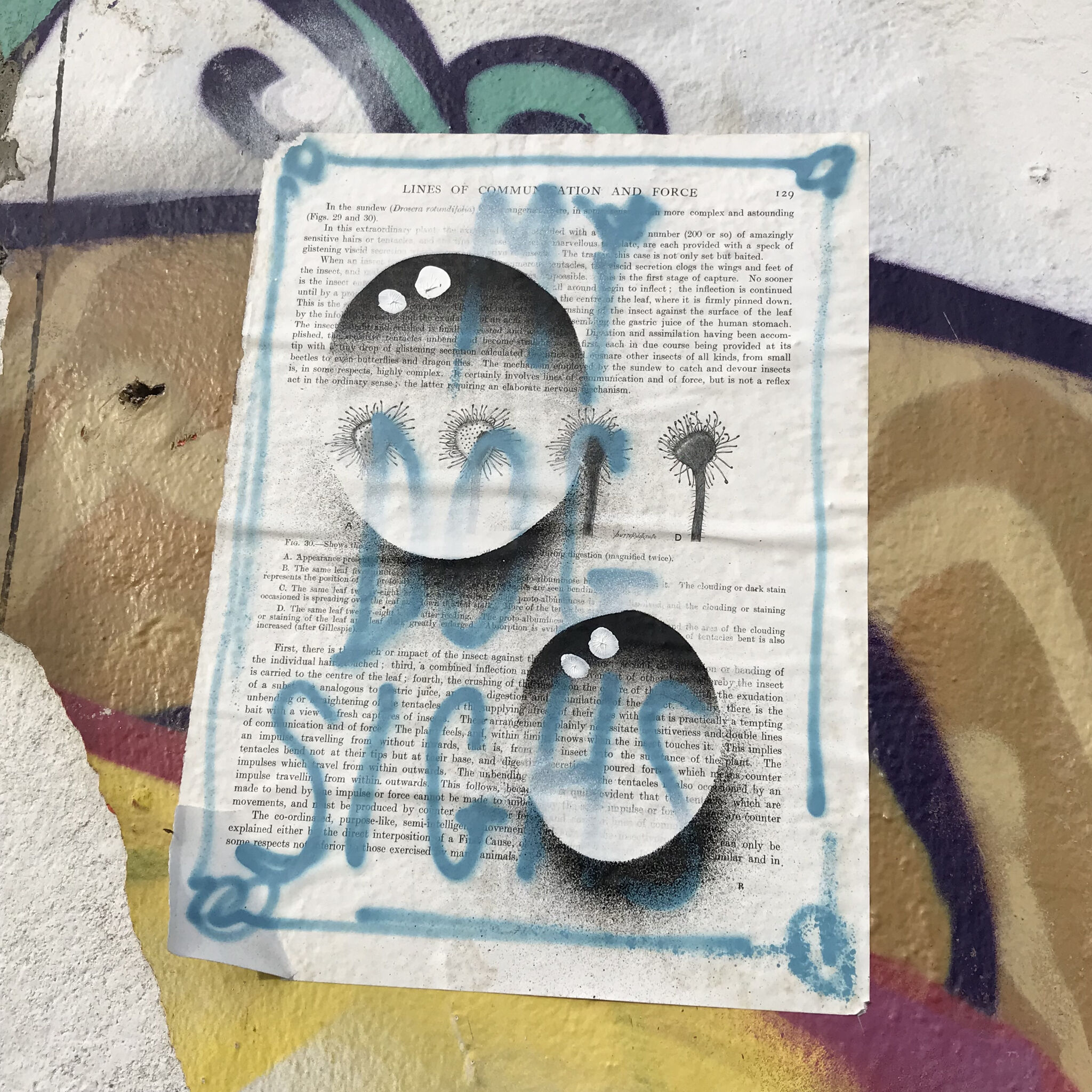 My Dog Sighs&mdash;Untitled