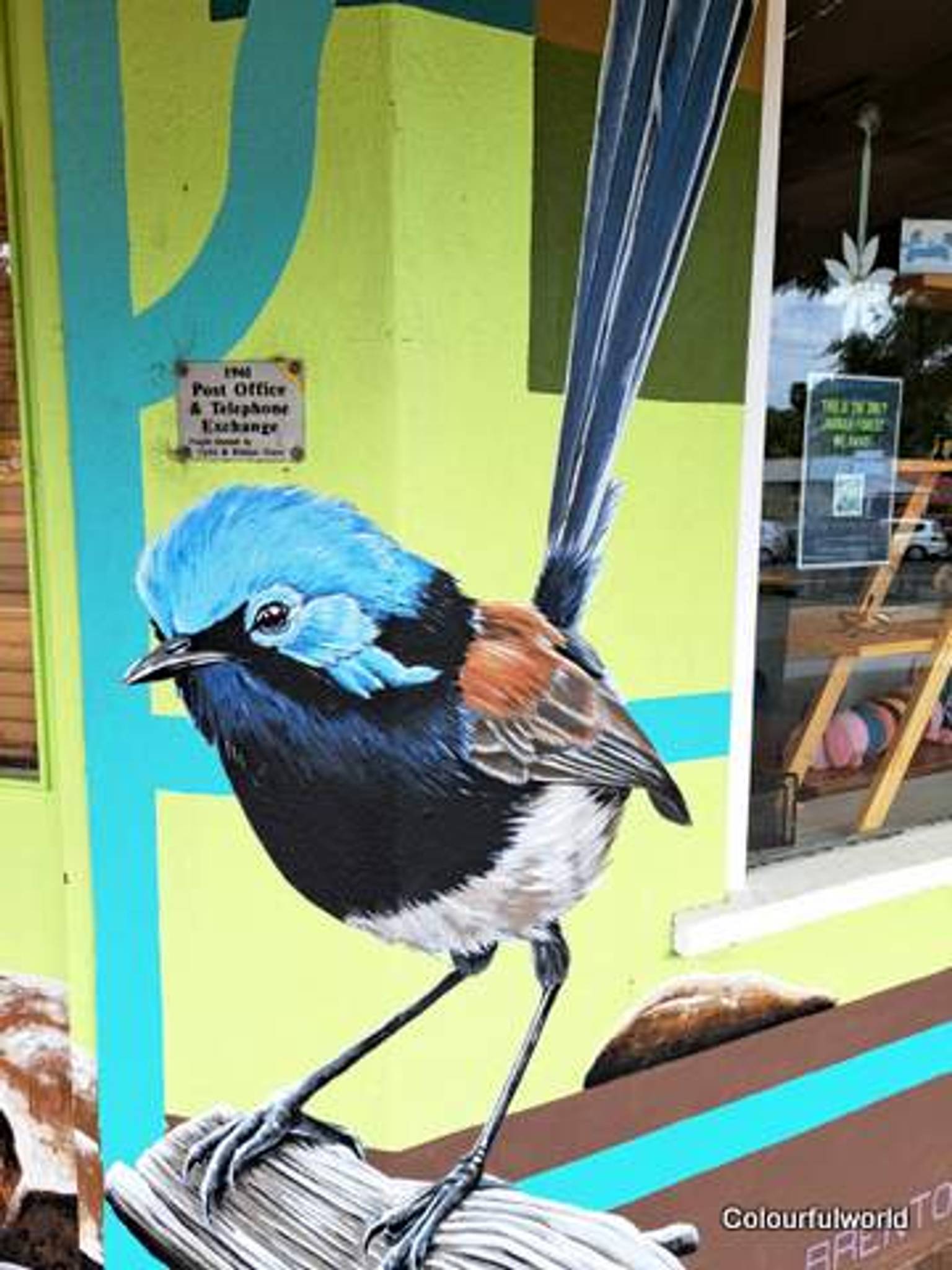 Brenton See&mdash;Fauna and Flora in Dwellingup