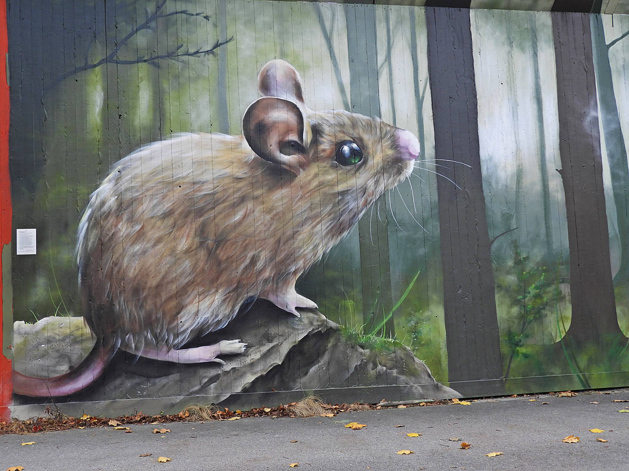 Sagie&mdash;Skogen 2
