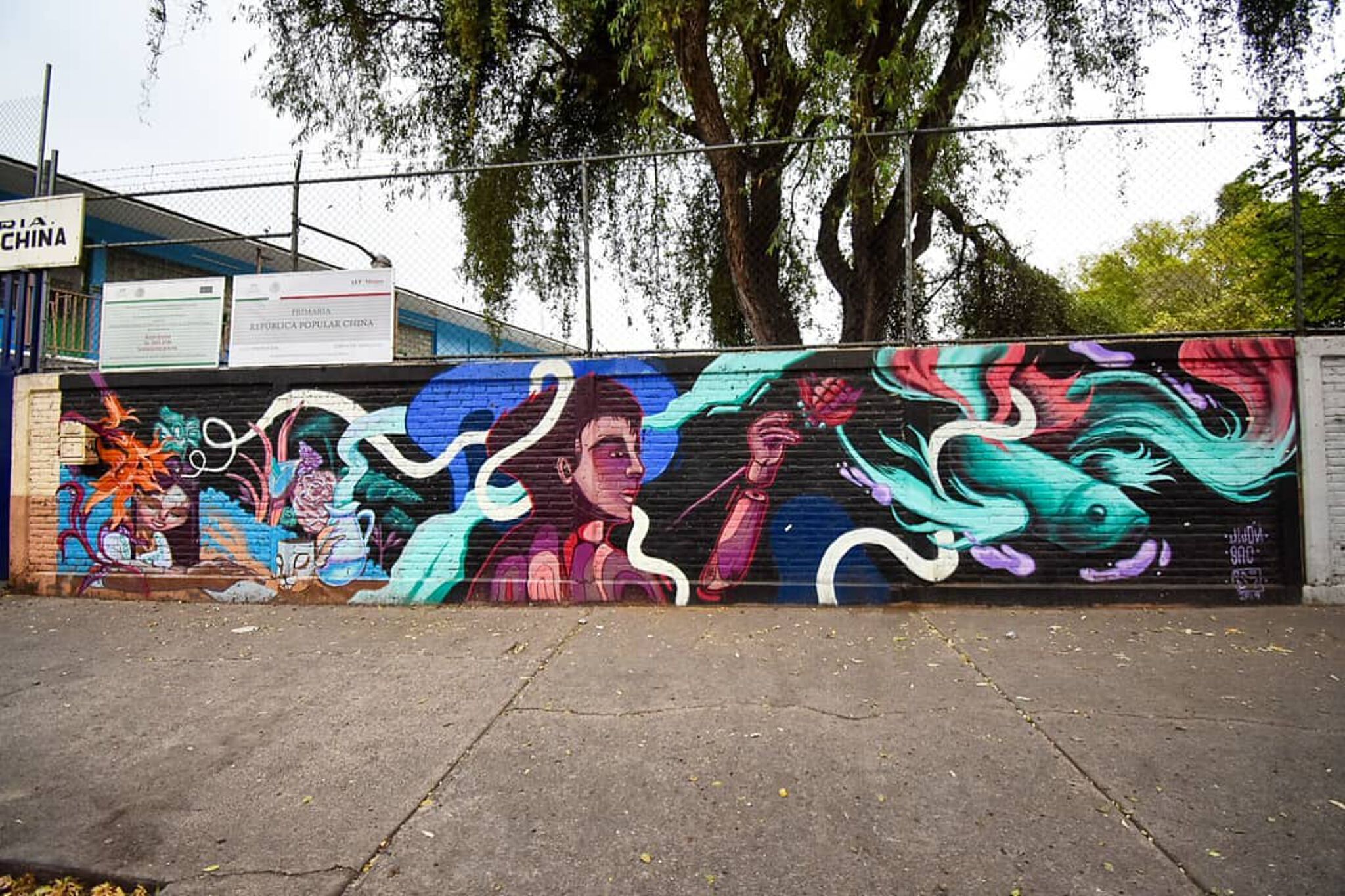 Jijon Os, Sac Medina, OKEDART&mdash;Luz y Agua
