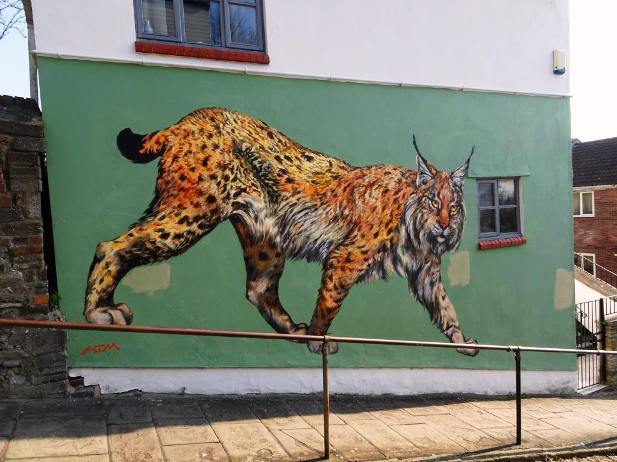 ATM&mdash;Lynx