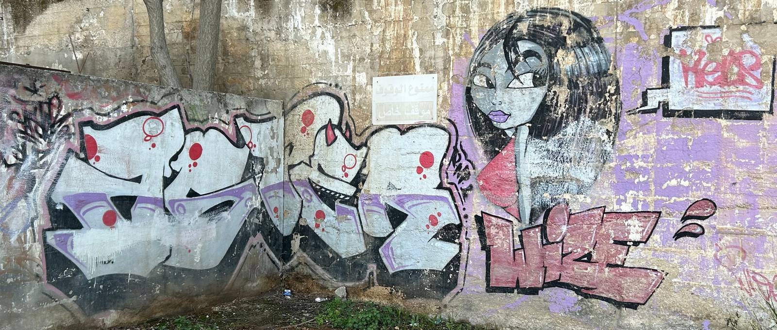 aster.93, Wesam Shadid&mdash;Kels