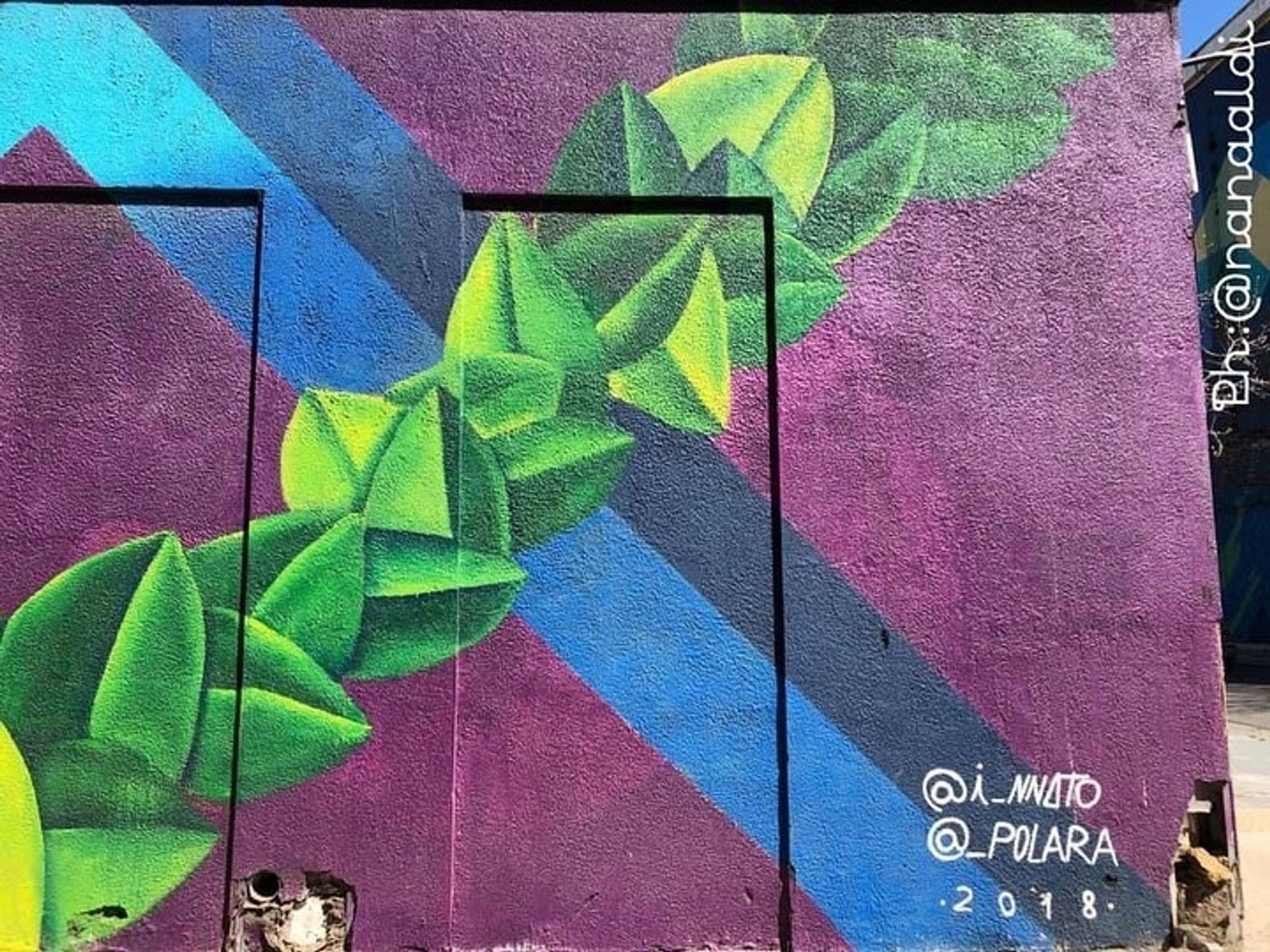 innato, polara&mdash;Purple jungle
