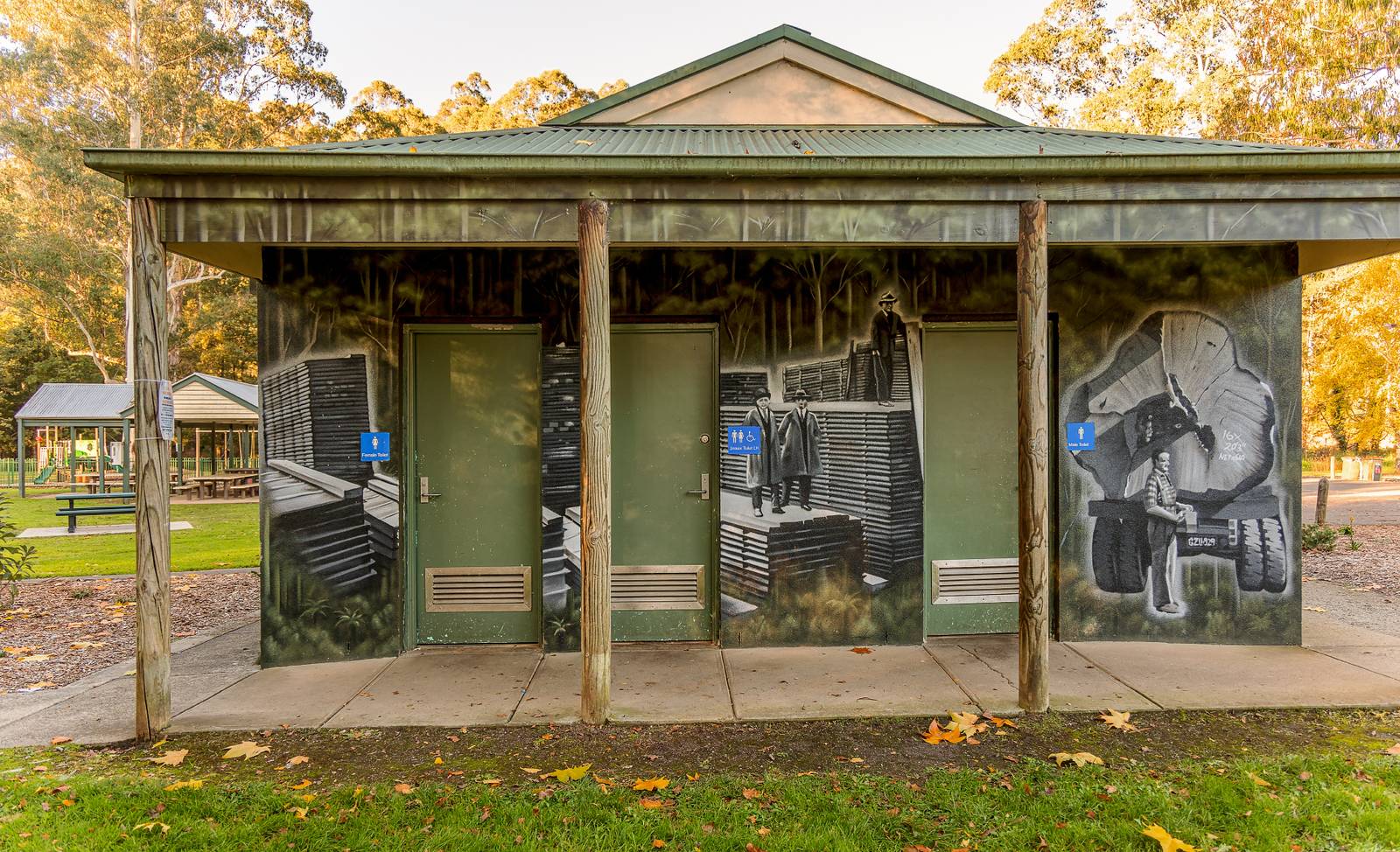 Danny Awes&mdash;Noojee Public Toilets 1