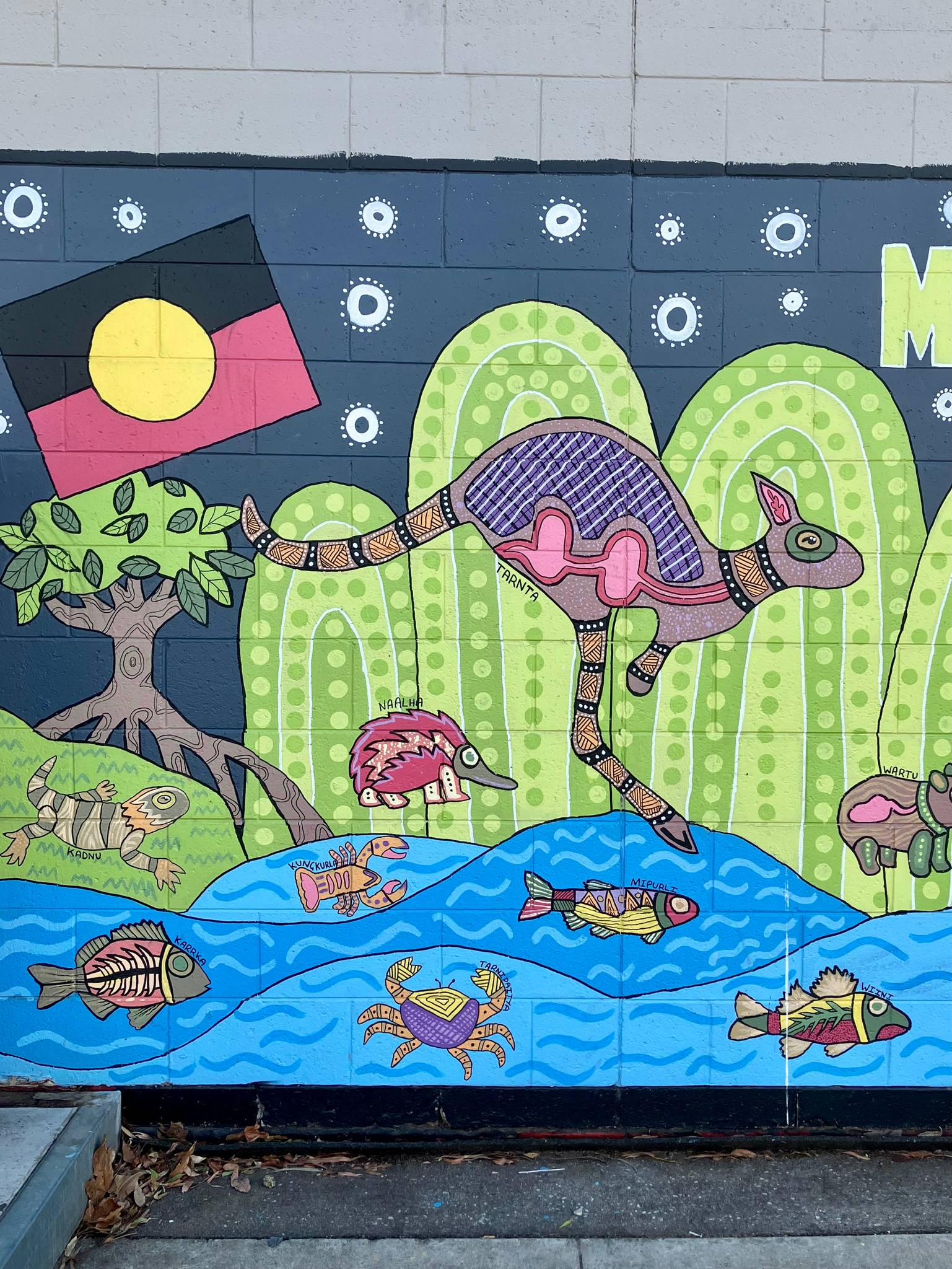 Unknown - Adelaide&mdash;undefined