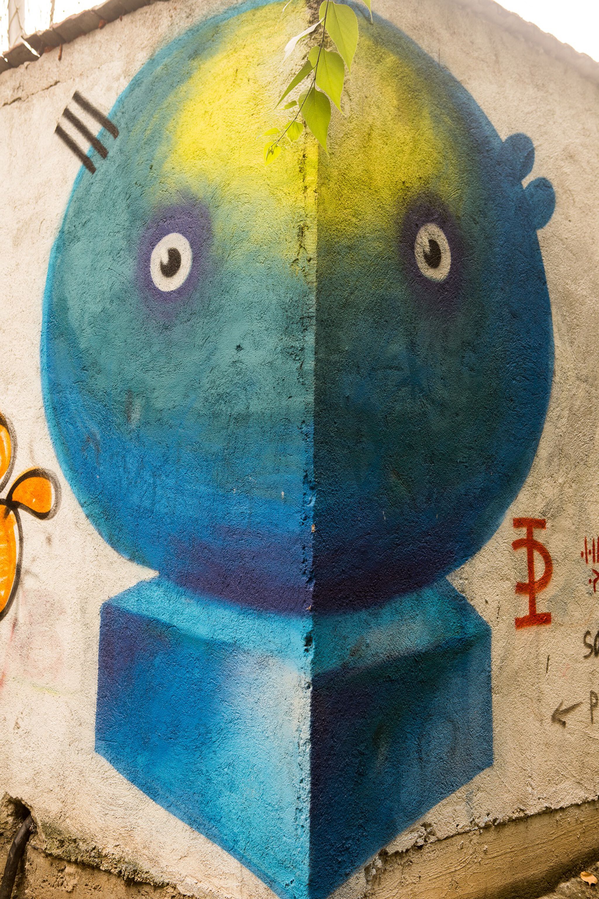 Pisica Pătrată (Square Cat)&mdash;Untitled