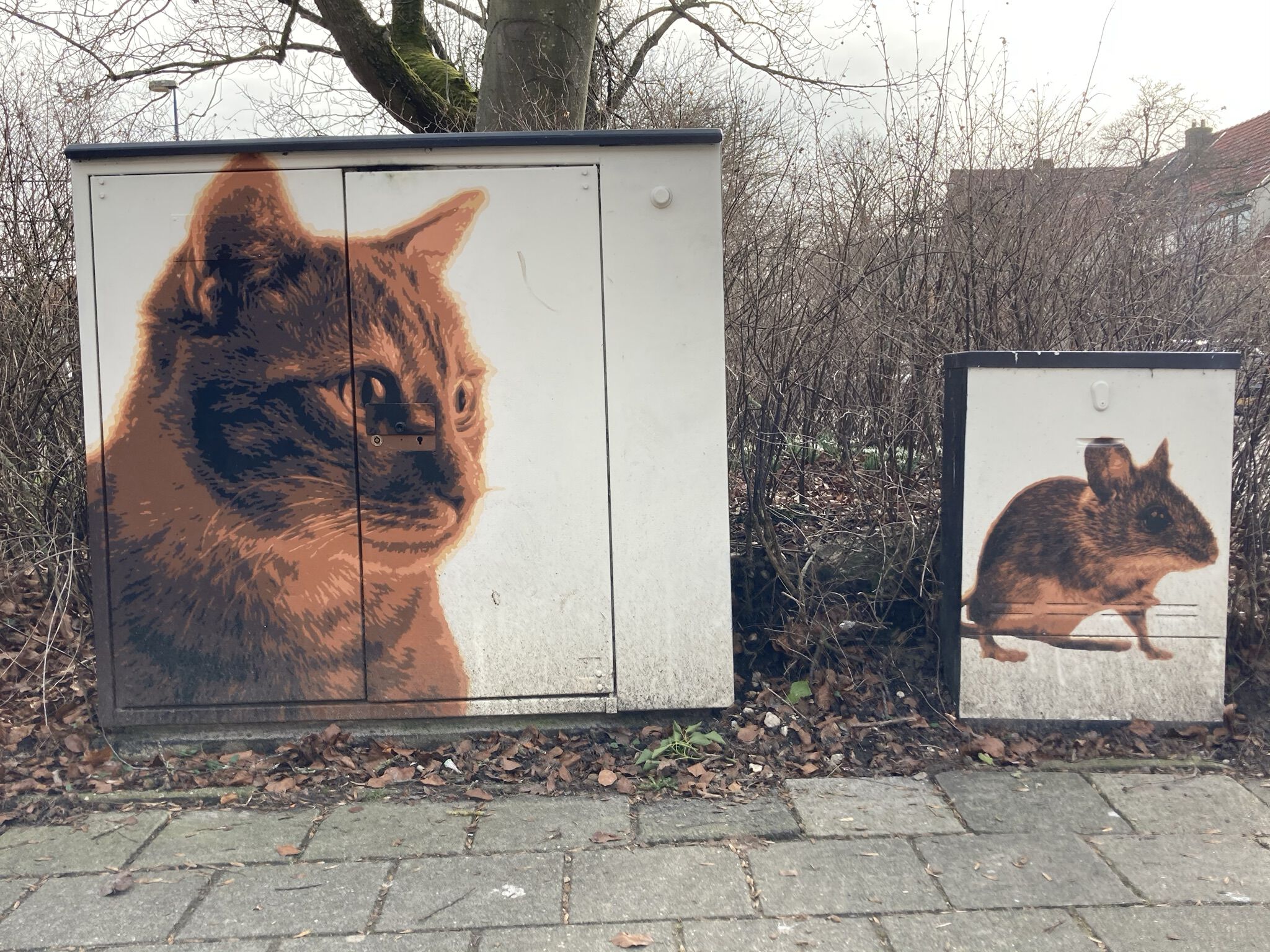 Roy Schreuder&mdash;Kat en Muis