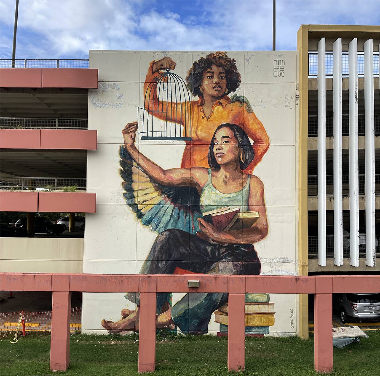 Mapecoo&mdash;Pájaros en la cabeza