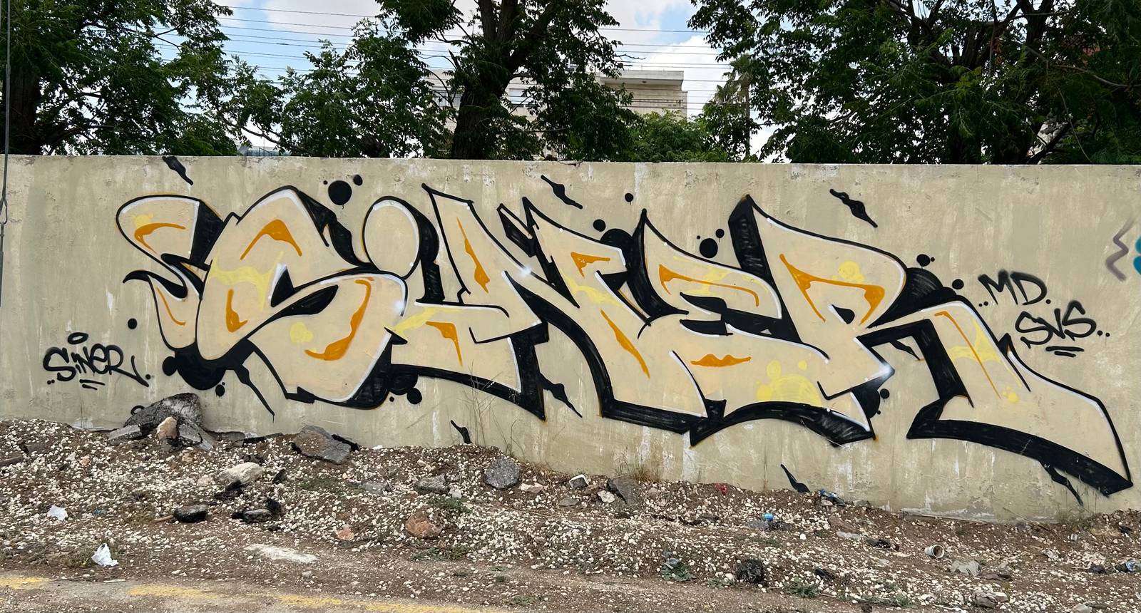 Ammar Sinnan&mdash;Siner