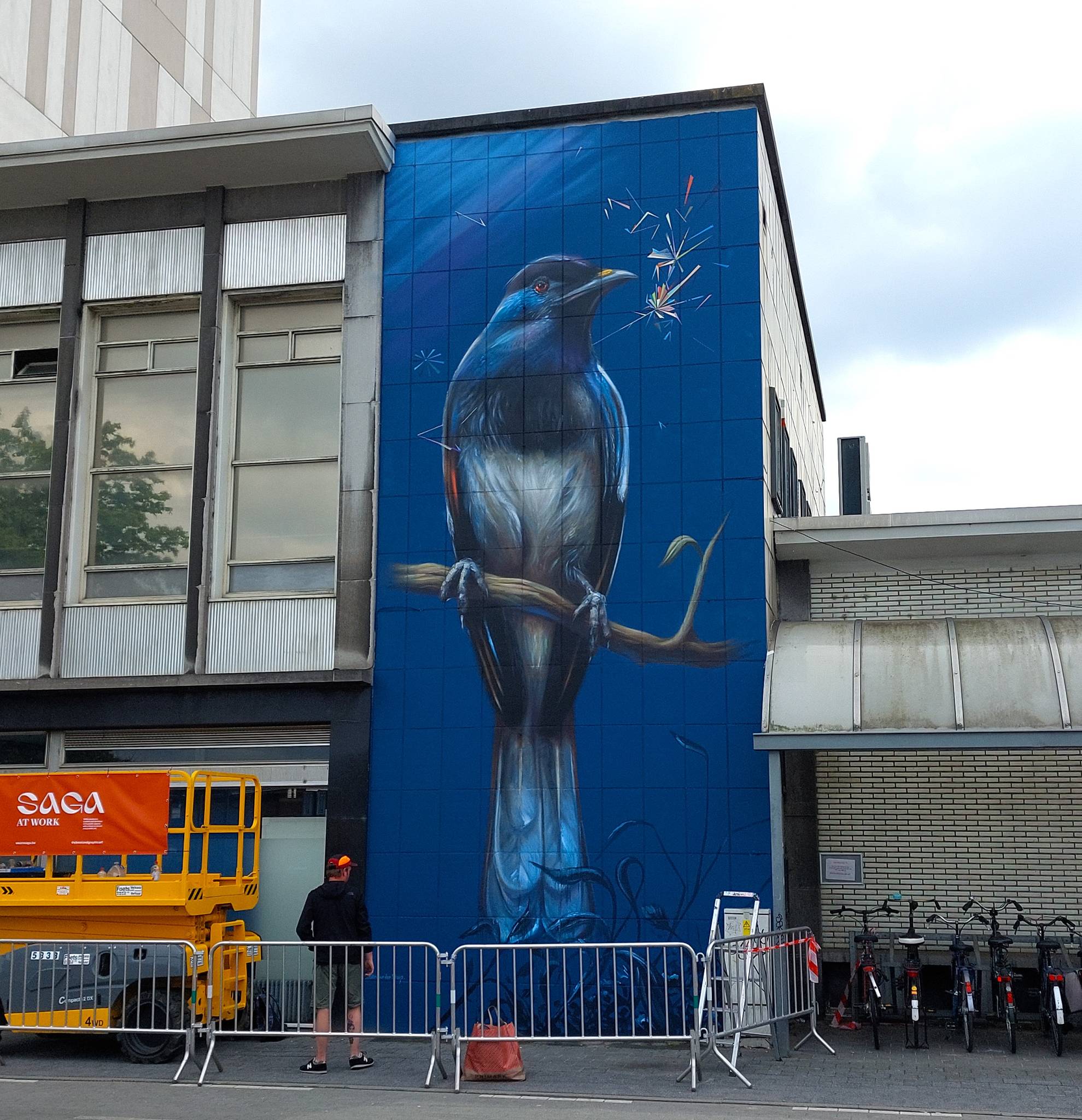 Collin van der Sluijs&mdash;The magpie