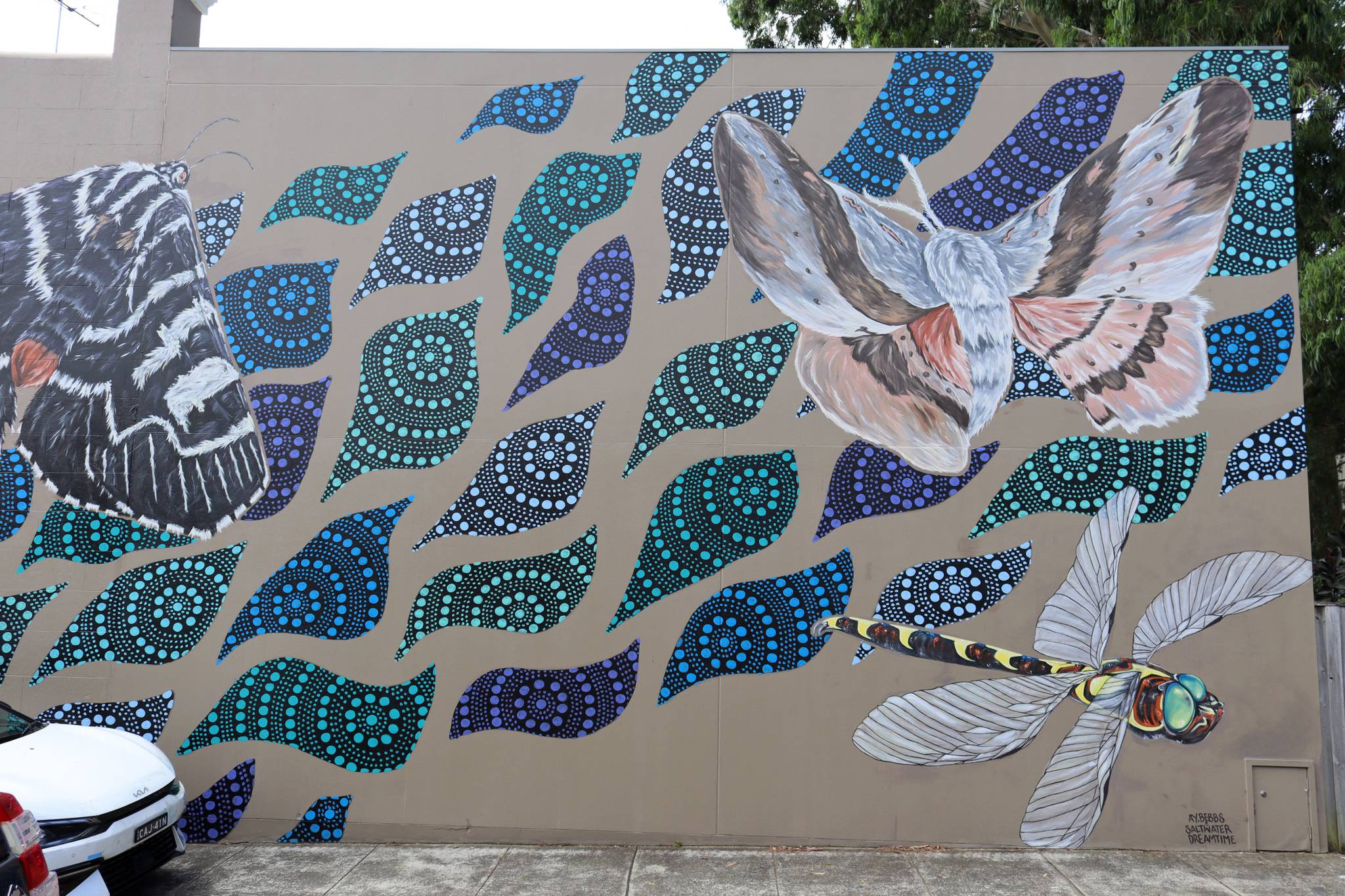 Alex Bebbington, Saltwater Dreamtime&mdash;Fishers Reserve Waterhole