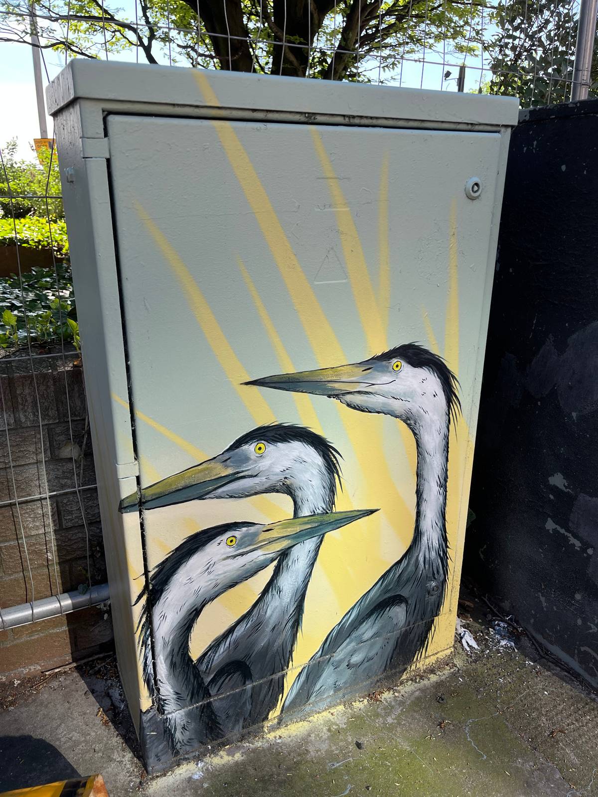 Barry the Cat&mdash;21 Finnieston St - Outside the Box